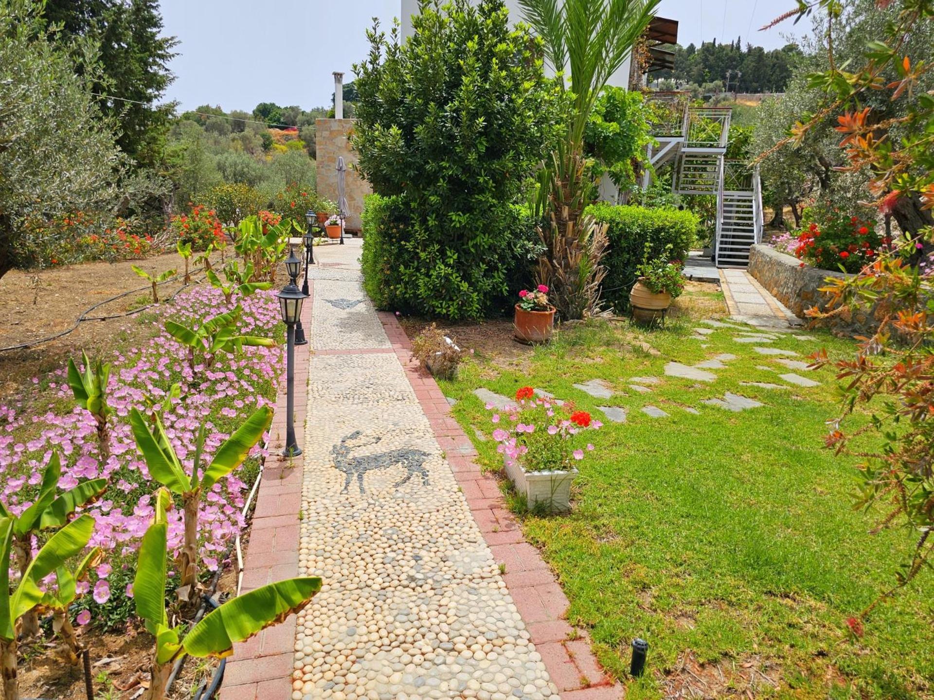 Galini View Apartments Lindos Eksteriør bilde